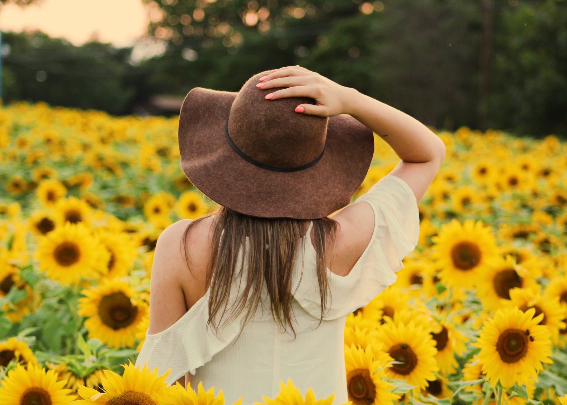 photo of woman in a sunflower field